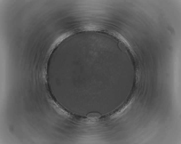 X0000111590930200907231211