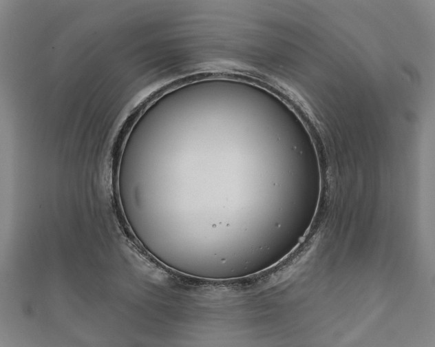 X0000111590931200907231211