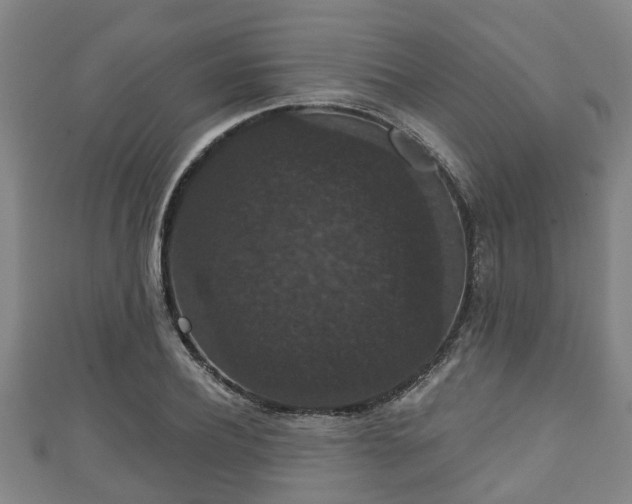 X0000111590932200907231211