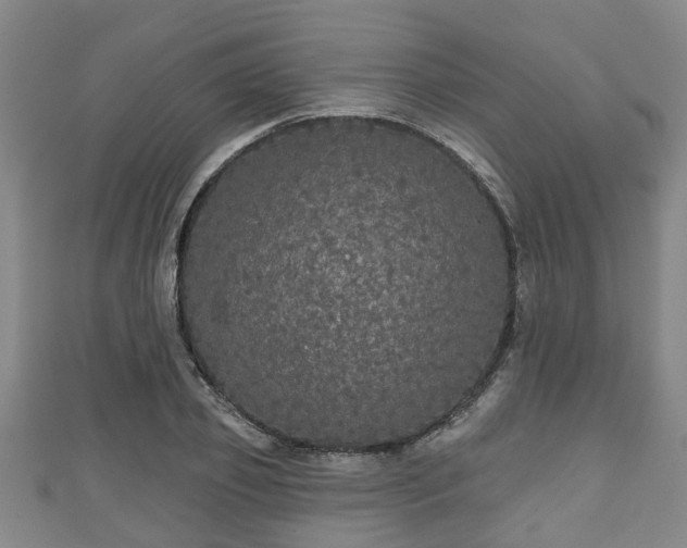 X0000111590933200907231211