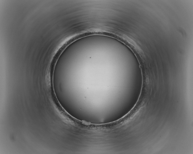 X0000111590934200907231211