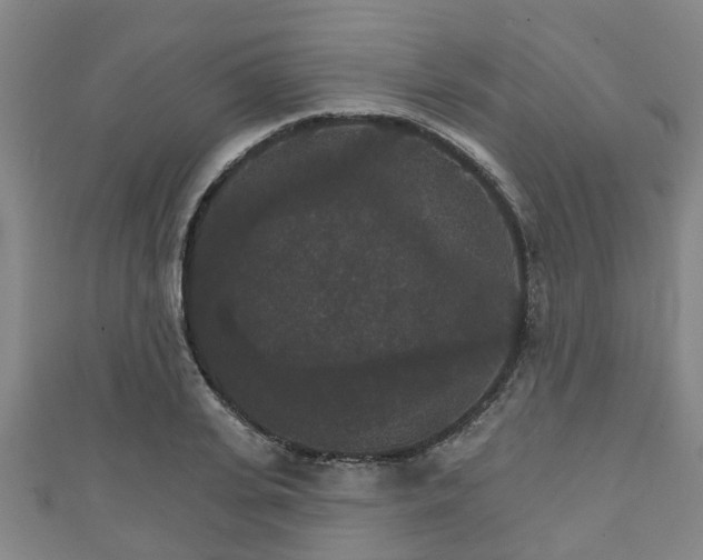 X0000111590935200907231211