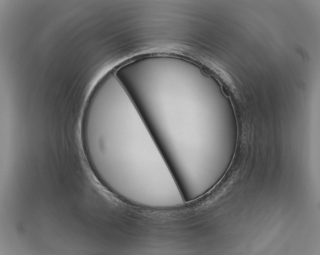 X0000111590936200907231211