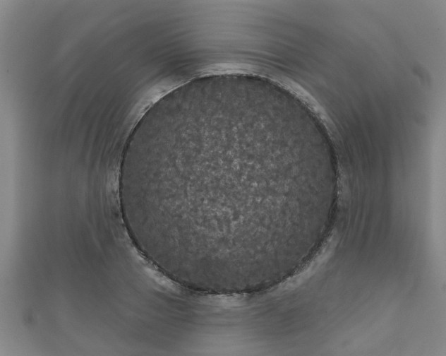 X0000111590937200907231211