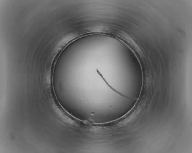 X0000111590938200907231211