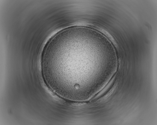 X0000111590939200907231211