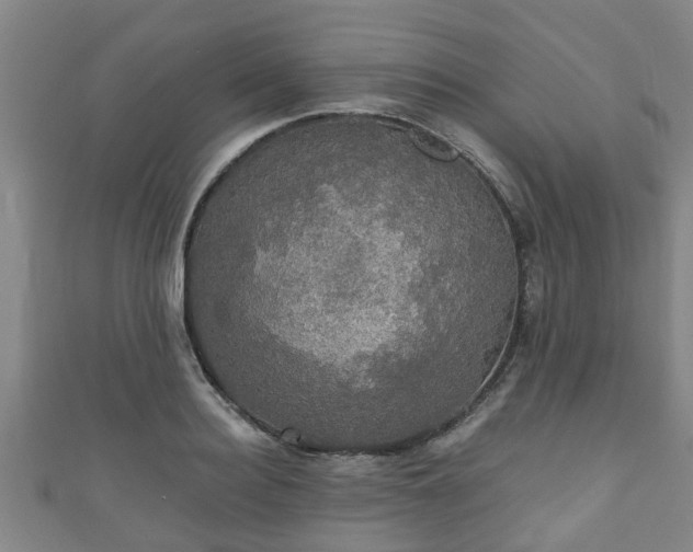 X0000111590940200907231211