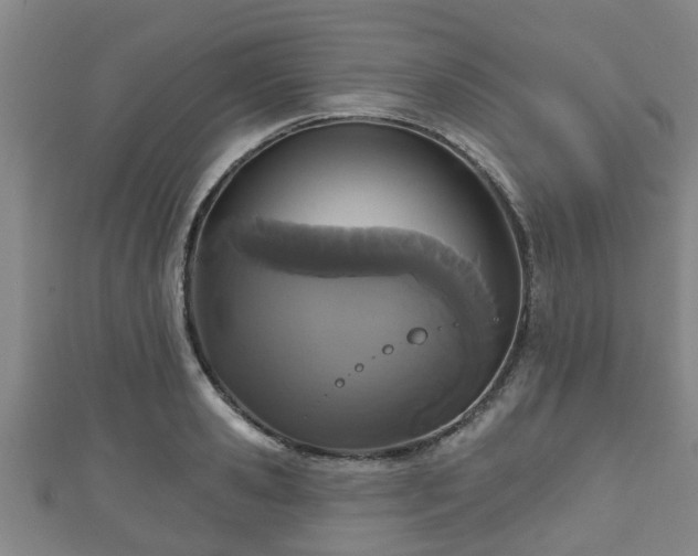 X0000111590941200907231211