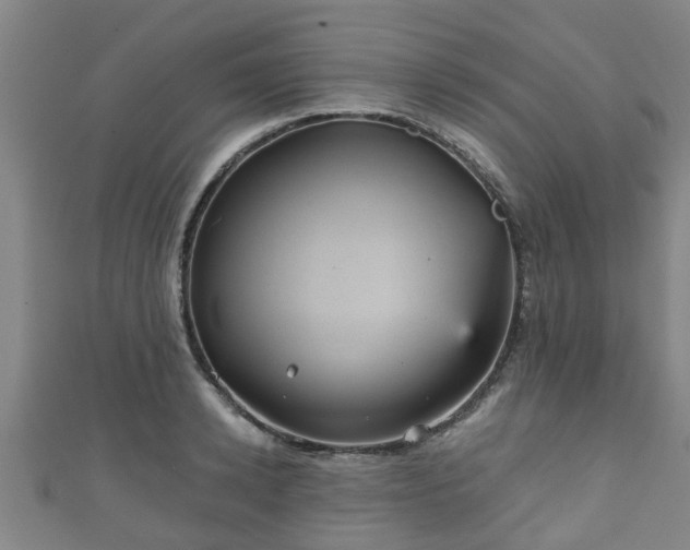 X0000111590942200907231211