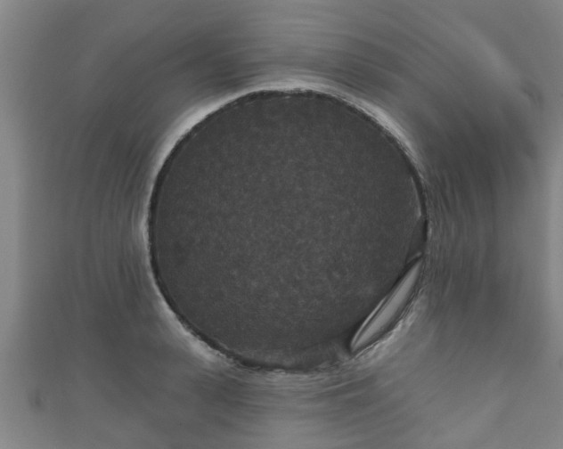 X0000111590943200907231211