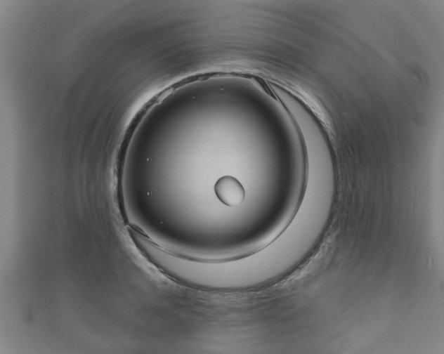 X0000111590944200907231211