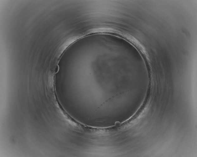 X0000111590945200907231212