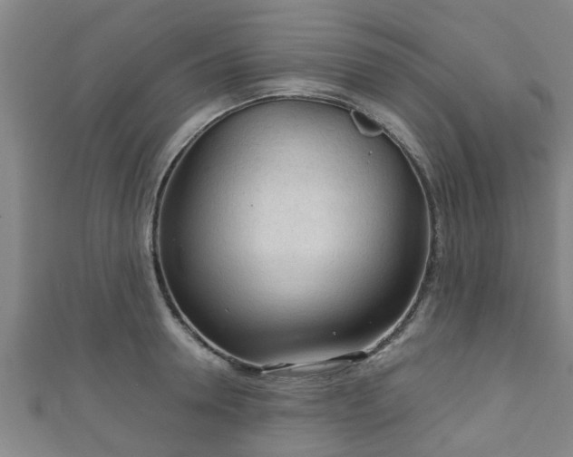 X0000111590946200907231212