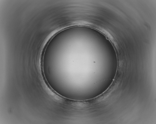 X0000111590947200907231212