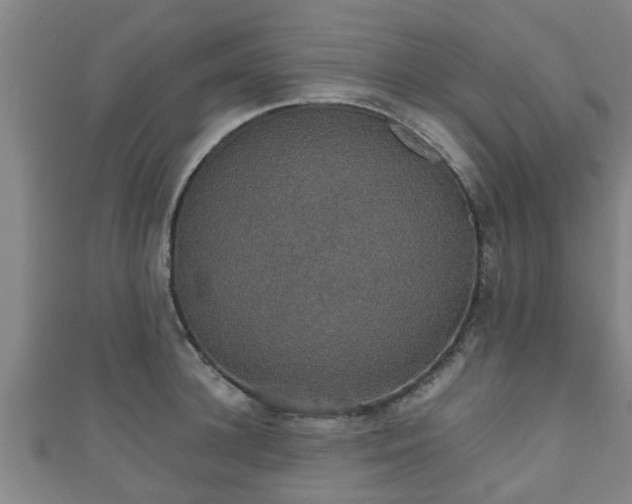 X0000111590948200907231212