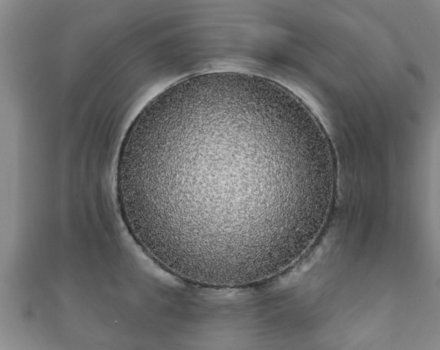 X0000111590949200907231212