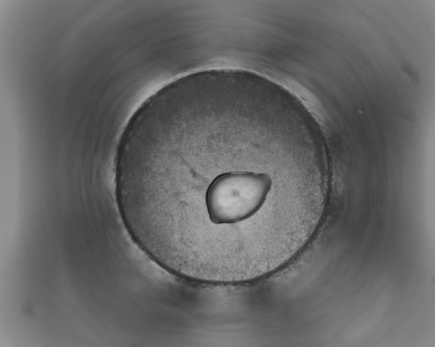 X0000111590950200907231212