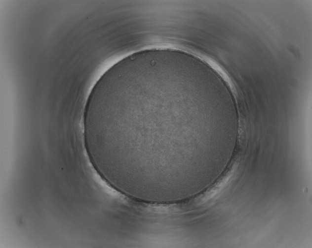 X0000111590951200907231212