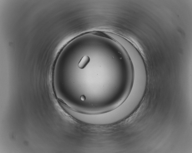 X0000111590952200907231212