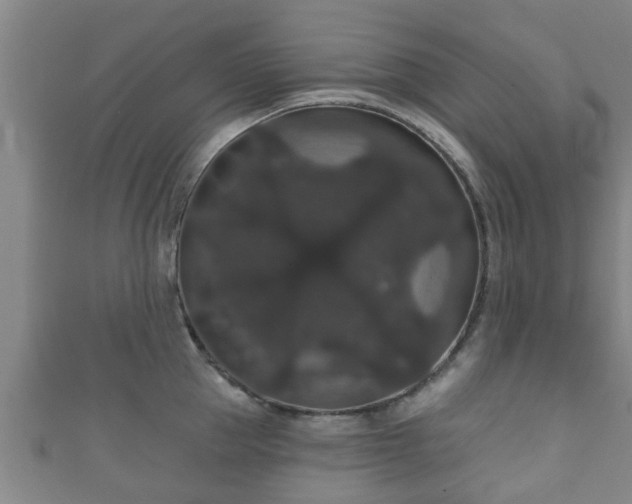 X0000111590953200907231212