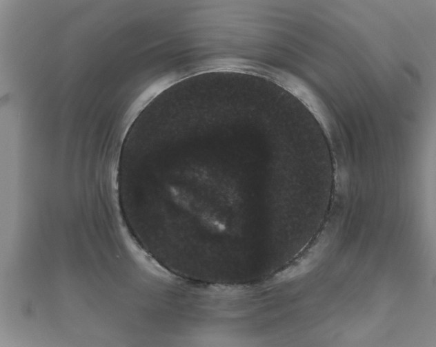 X0000111590954200907231212