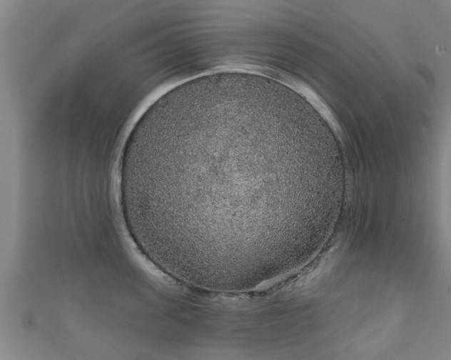 X0000111590955200907231212