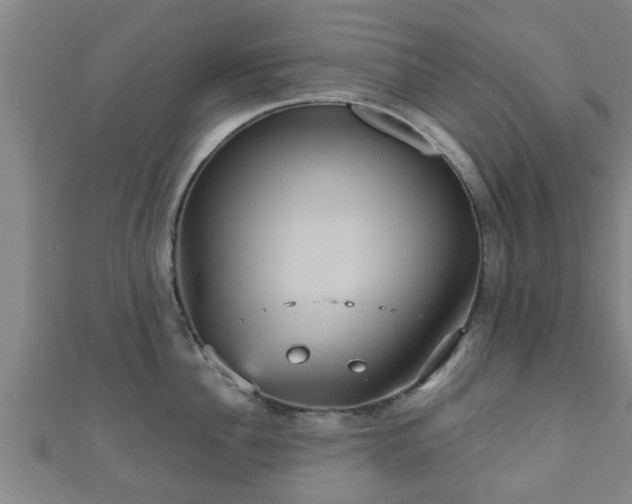 X0000111590956200907231212