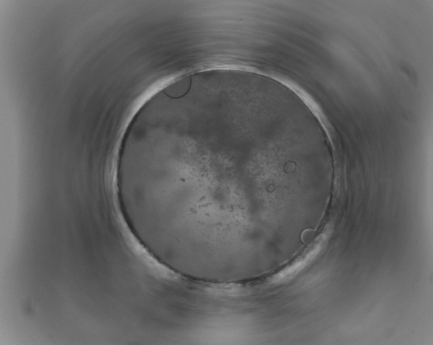 X0000111590957200907231212