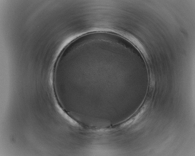 X0000111590958200907231212