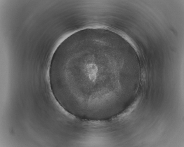 X0000111590959200907231212