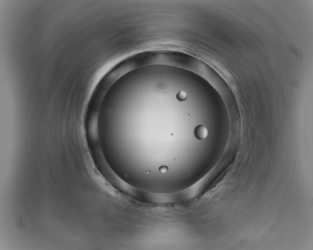 X0000111590960200907231212