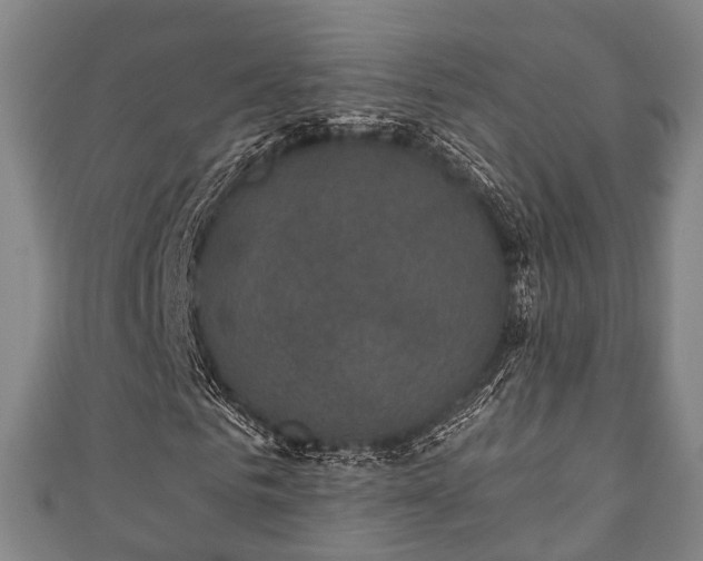 X0000111590961200907231211