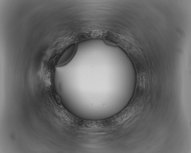 X0000111590962200907231211