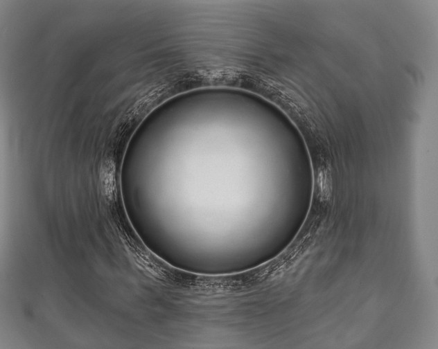 X0000111590963200907231211