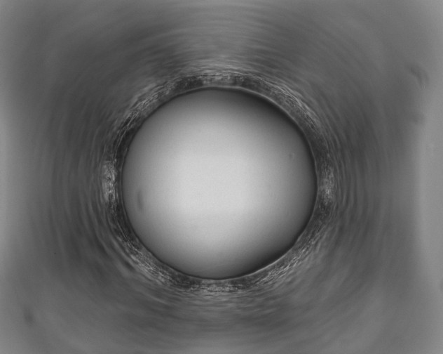 X0000111590964200907231211