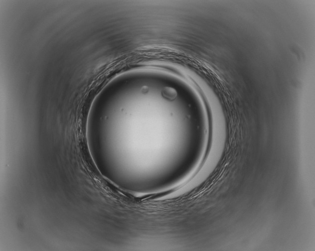 X0000111590965200907231211