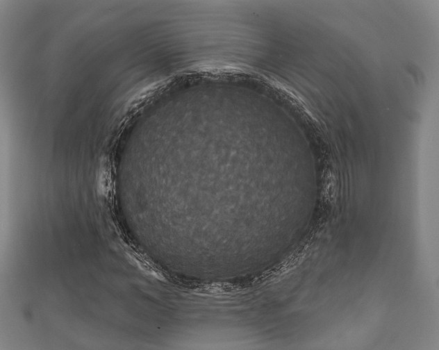 X0000111590966200907231211