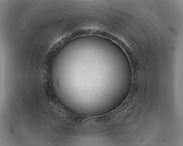 X0000111590967200907231211