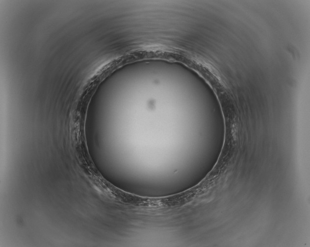 X0000111590968200907231211