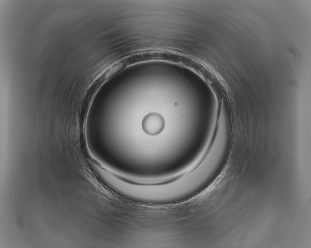 X0000111590969200907231211