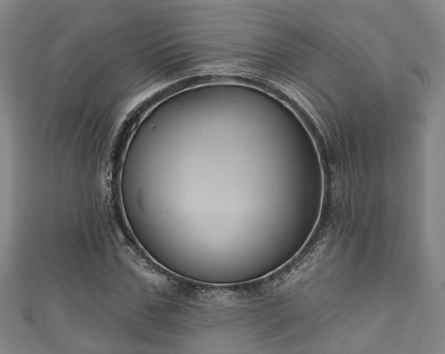 X0000111590971200907231211