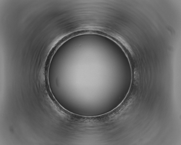 X0000111590972200907231211