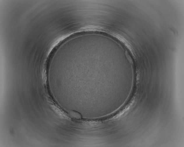 X0000111590973200907231211