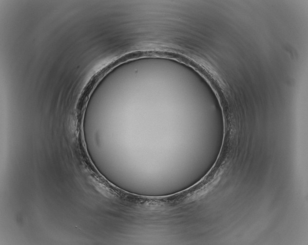 X0000111590974200907231211