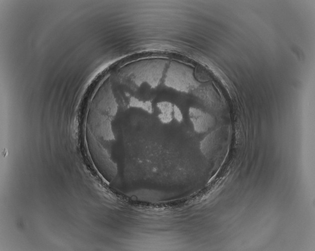 X0000111590975200907231211