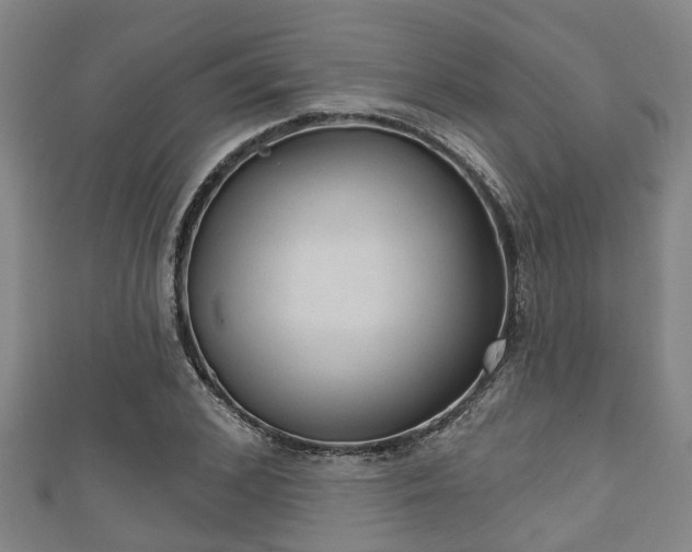 X0000111590976200907231211