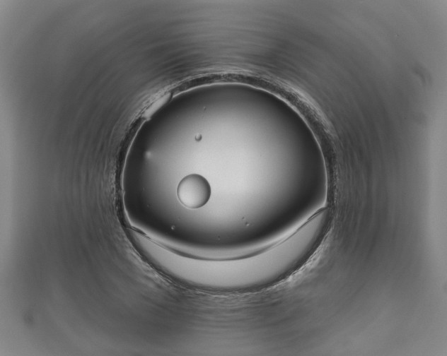 X0000111590977200907231211