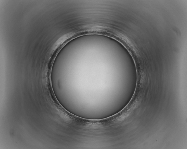 X0000111590978200907231211