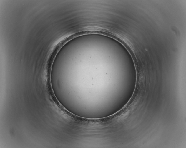 X0000111590979200907231211