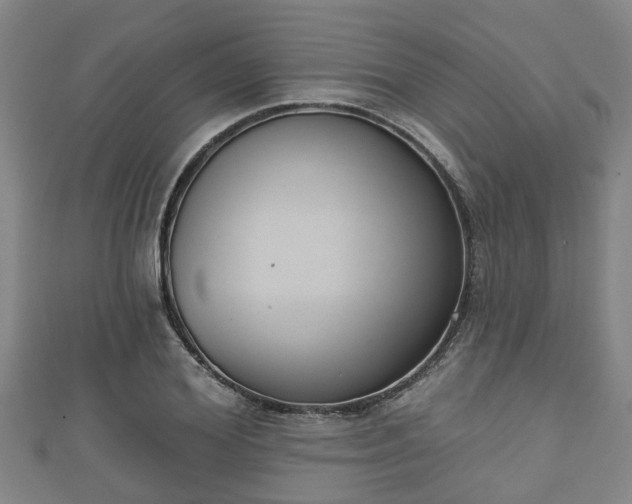 X0000111590980200907231211